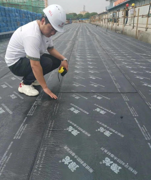 如何選購防水材料呢 防水材料哪種好呢