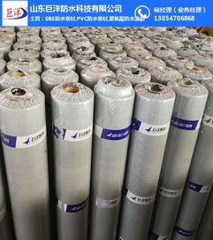 深入解析杭州與山東巨洋耐根穿刺防水卷材 關(guān)鍵技術(shù)、檢測標準與市場應(yīng)用